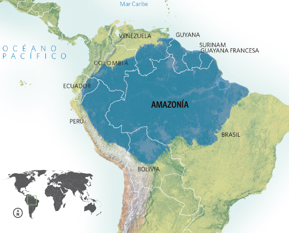 Amazon creará “una región” dentro de un país suramericano Amazon creará “una región” dentro de un país suramericano