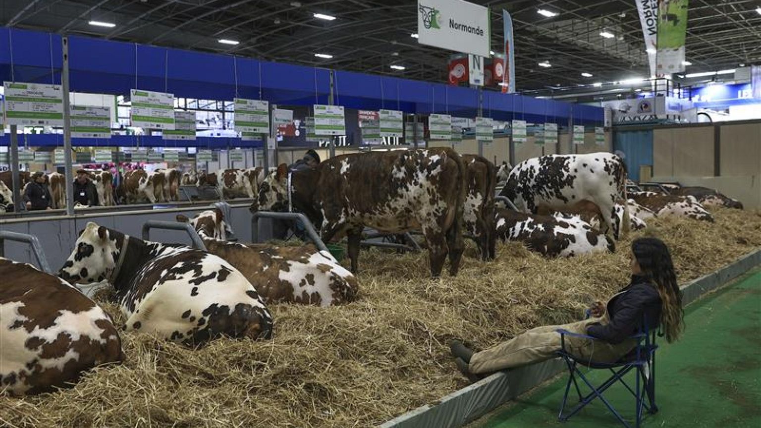 Kremlin comenta aranceles de la UE: “Recibirá fertilizantes a un precio más alto y de peor calidad”