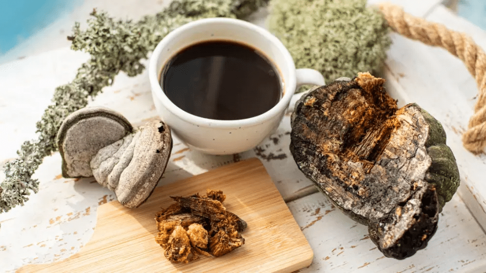 ¿Qué es el café de hongos? La bebida alternativa que podría ofrecer grandes beneficios a la salud ¿Qué es el café de hongos? La bebida alternativa que podría ofrecer grandes beneficios a la salud