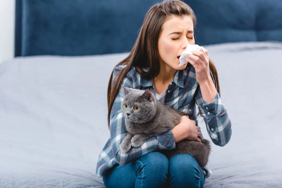 Rusia desarrolla la primera vacuna contra la alergia a los gatos Rusia desarrolla la primera vacuna contra la alergia a los gatos